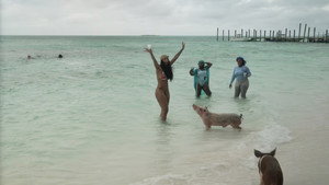 Bahamian Rhapsody