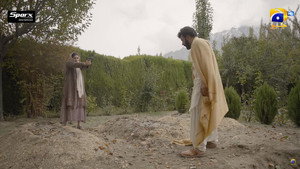 Episode 29