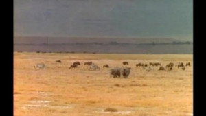 Crater of Gold