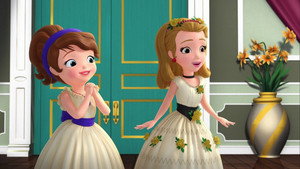 The Princess Ballet