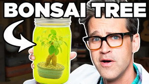 Leaving Things In A Margarita For A Month (EXPERIMENT)