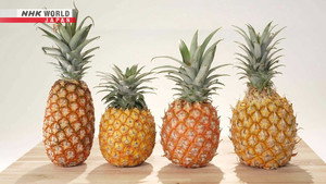 Pineapple