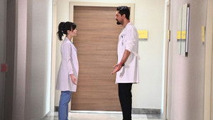 Episode 17