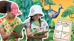 Rainforest Bingo