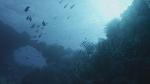 Underwater Alien Bases