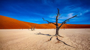 Journey into nothingness
