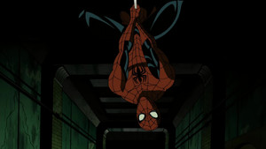 Along Came a Spider…