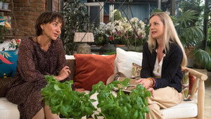Episode 3447