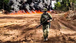 Anarchy in the Amazon