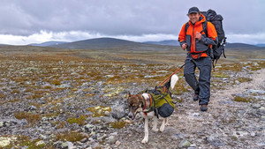 Dovrefjell-Sunndalsfjella – The Test of Manhood