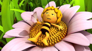 Bee Clean