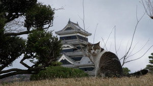 Nagano: Castles, Noodles, and Hot Springs