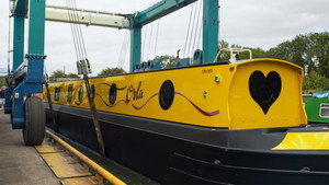 Giant Electric Canal Boat