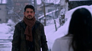 Snowfall