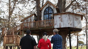 Treehouse Utopia