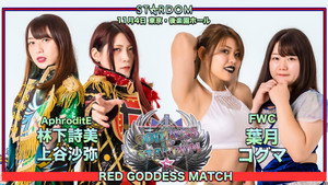 Stardom 11th Goddesses of Stardom Tag League ~ Day 4