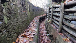 In the trenches of the Great War