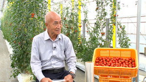Film Farming