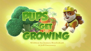 Pups Get Growing
