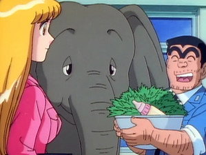 Trunk Buddies