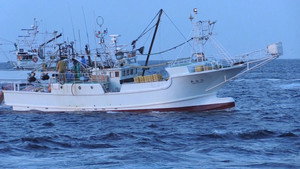 No Going Back: New Ideas from a Tsunami-hit Fishing Town