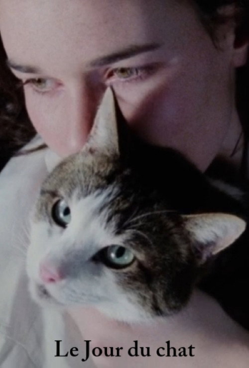 The Day of the Cat