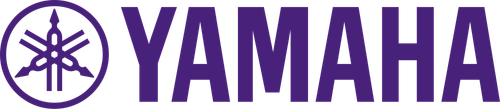 Yamaha Music Entertainment Holdings