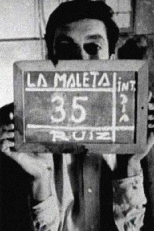 The Suitcase