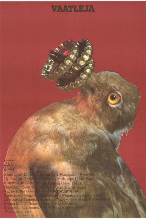 The Bird Watcher