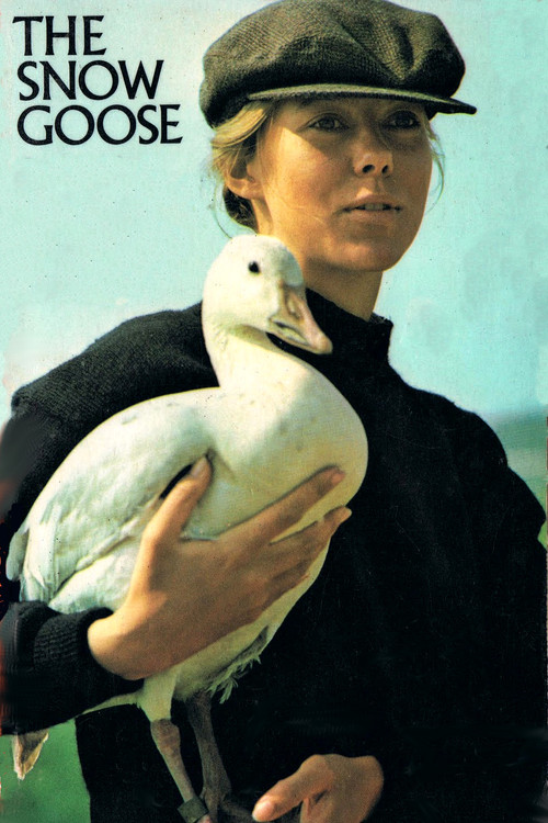 The Snow Goose