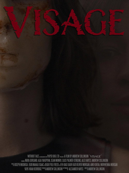 Visage