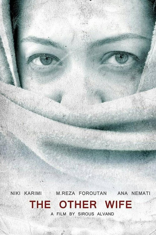 The Other Wife
