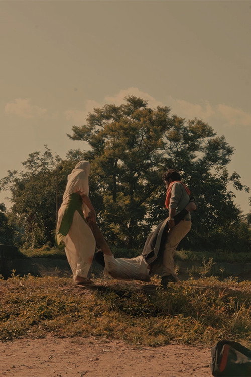 Pinds of Punjab