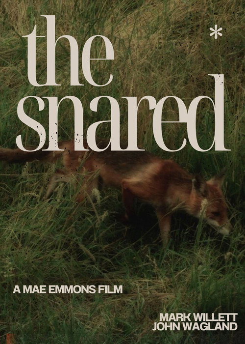 The Snared
