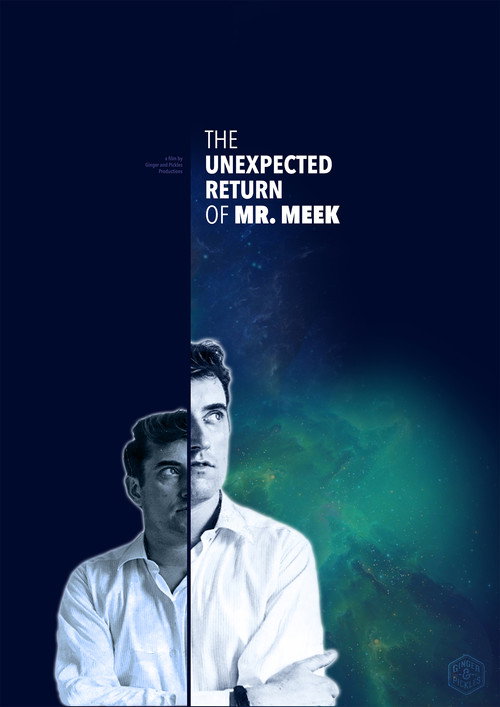 The Unexpected Return of Mr. Meek