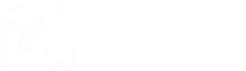 Identic Films