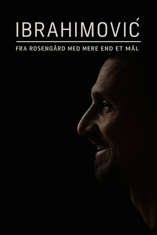 Ibrahimović – From Rosengård with More Than One Goal