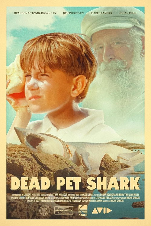 Dead Pet Shark