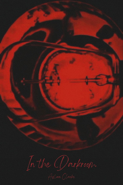 In the Darkroom