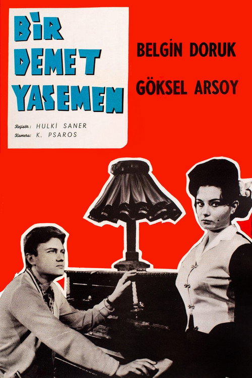 Bir Demet Yasemen