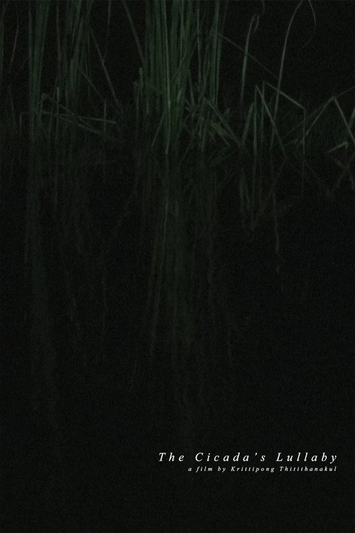 The Cicada's Lullaby