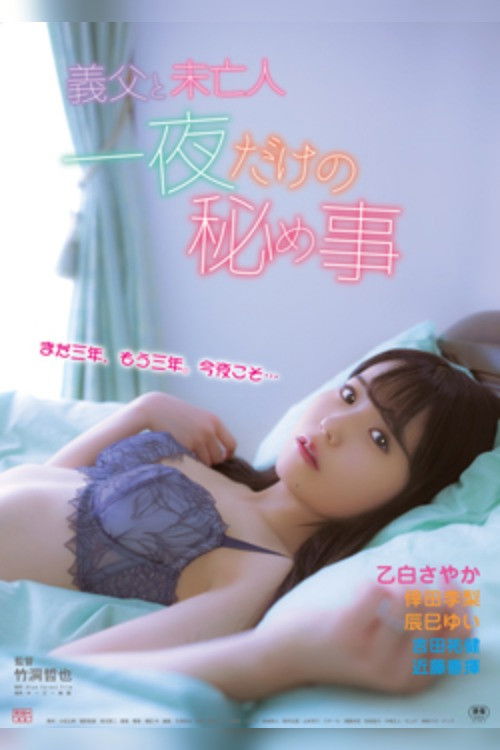 The Stepfather and the Widow: A One Night Secret