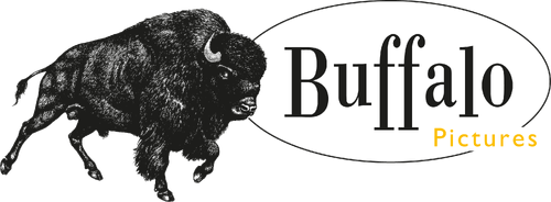 Buffalo Pictures