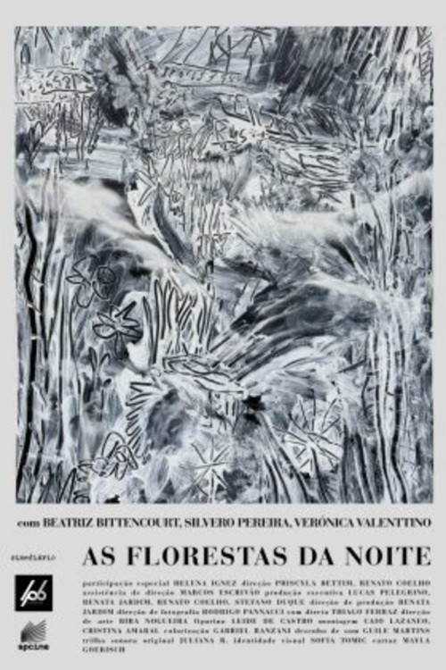 As Florestas da Noite