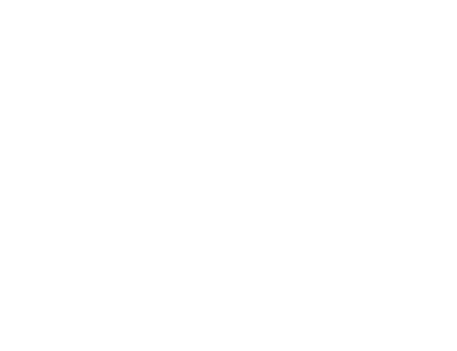 LioFrame