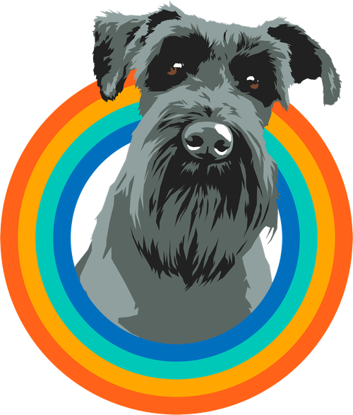 Magic Dog Productions