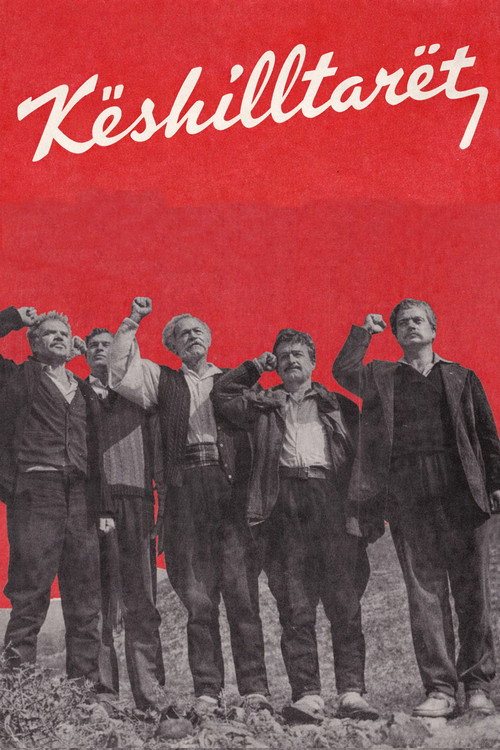 The Councillors