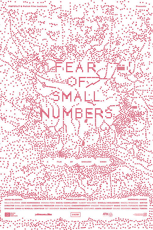 FEAR OF SMALL NUMBERS