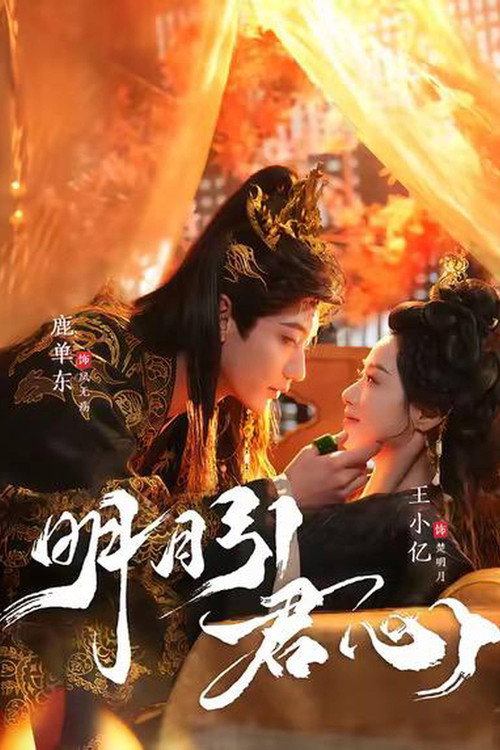 明月引君心