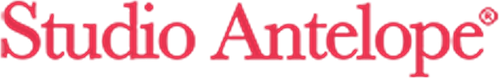 Studio Antelope